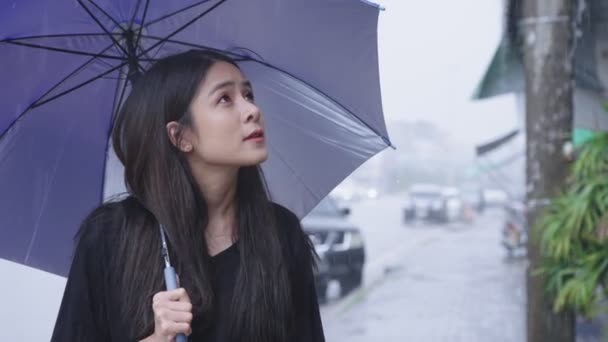 Fiatal Csinos Ázsiai Kezében Kék Esernyő Sétál Utca Szélén Nehéz — Stock videók