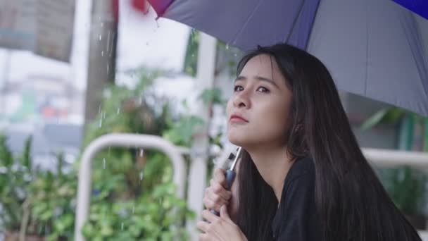 Jong Volwassen Aziatische Vrouw Houden Paraplu Zitten Straat Lopen Regenachtige — Stockvideo