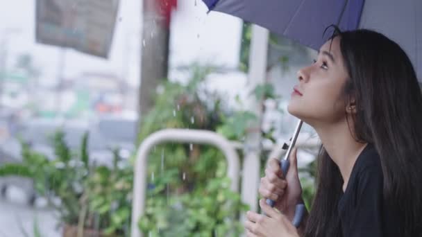 Seorang Wanita Asia Cantik Yang Meraih Lengan Untuk Mengumpulkan Tetesan — Stok Video