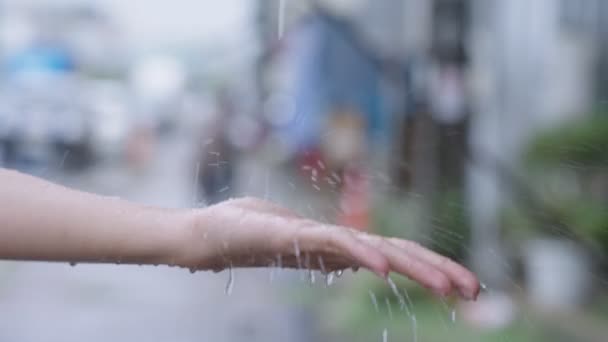 女の子の手は雨の滴をキャッチ 季節に触れます 女性のパームで雨 雨季のスローモーション 路上で 温度変化湿度空気結露 天気予報 雨猫や犬 — ストック動画