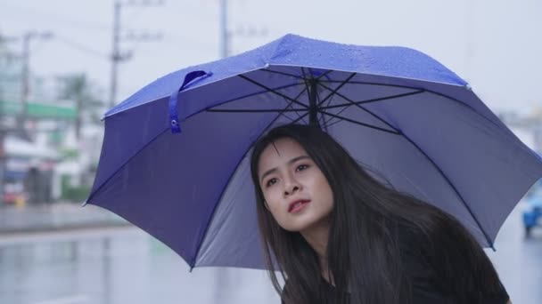 Young Asian Woman Holding Blue Umbrella Standing Alone Street Side — Stock Video