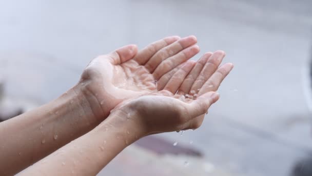 Dwie Ręce Trzymające Padający Deszcz Deszczowy Dzień Pora Burzowa Łapie — Wideo stockowe