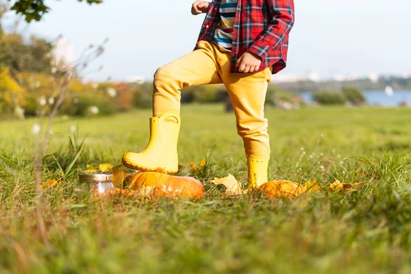 Cultivé Mignon Garçon Jouer Avec Citrouille Dans Parc Automne Sur — Photo