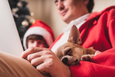 Köpek yavrusu Noel günü dizüstü bilgisayarda adam ve çocukla yatıyor. Evde Noel ağacı olan bir kanepede oturuyor..