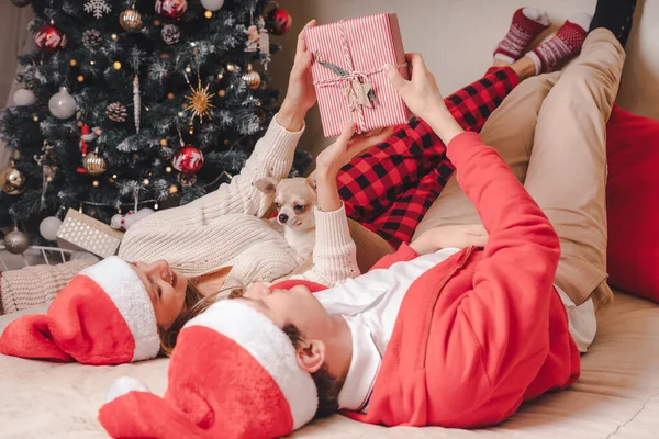 Romantic Couple Exchanging Gifts Decorated Christmas Tree Man Giving Christmas — Stock Photo, Image