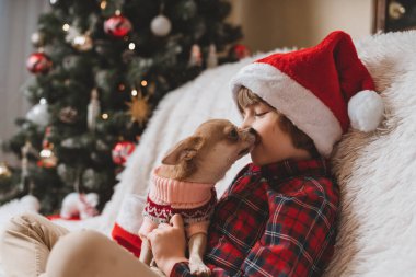 Kazaklı Chihuahua köpeği Noel 'de küçük bir çocuğun yüzünü battaniyeyle kanepede yalıyor..