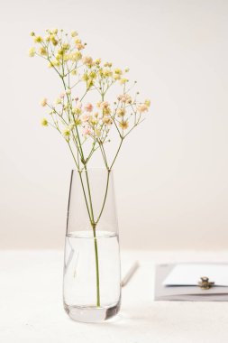 Güzel taze çingene.