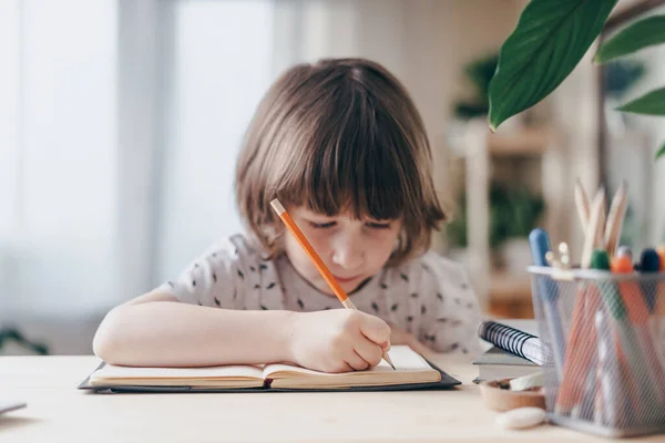 Tillbaka till skolan. Pojke hemma med laptop — Stockfoto