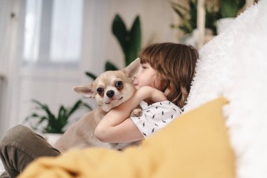 Chihuahua köpeği, kanepedeki küçük gülen çocuğun yüzünü battaniyeyle yalıyor. Kafkasyalı mutlu bir çocuğun portresi. Kanepede köpek yavrusuna sarılıp birlikte oynuyorlar. Ev konseptinde kal.