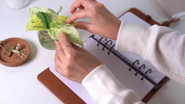 Cerca de las manos de las mujeres escribe en cuaderno y el cuidado de las plantas — Vídeo de stock