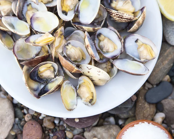 Cooked Clams — Stock Photo, Image