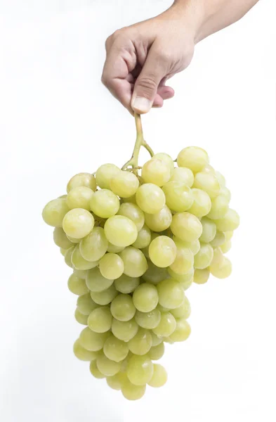 Hand holding a bunch of fresh white grapes isolated — Stock Photo, Image