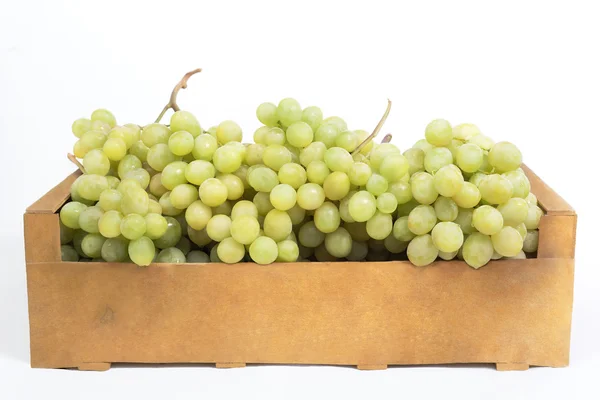 Fresh white grapes in a wooden box on a white background — Stock Photo, Image