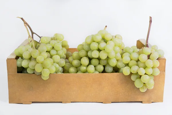 Fresh white grapes in a wooden box on a white background — Stock Photo, Image