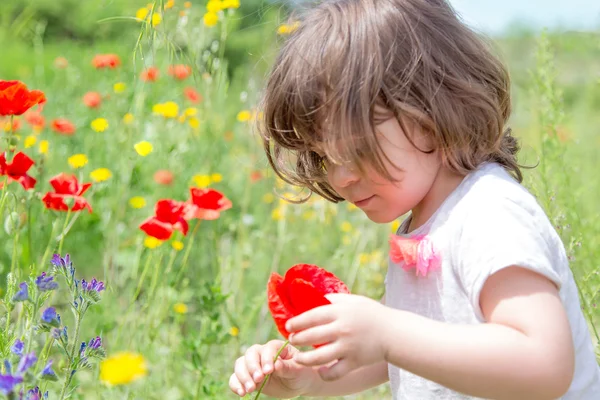 Menina brincando no prado verde examinando uma flor — Fotografia de Stock