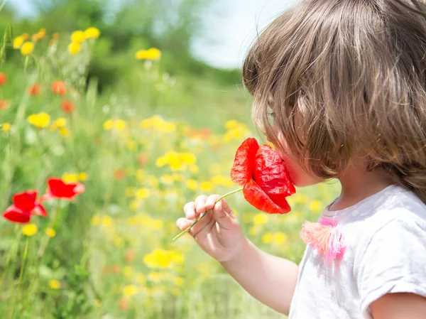 Menina cheirando uma papoula vermelha em um prado de flores — Fotografia de Stock