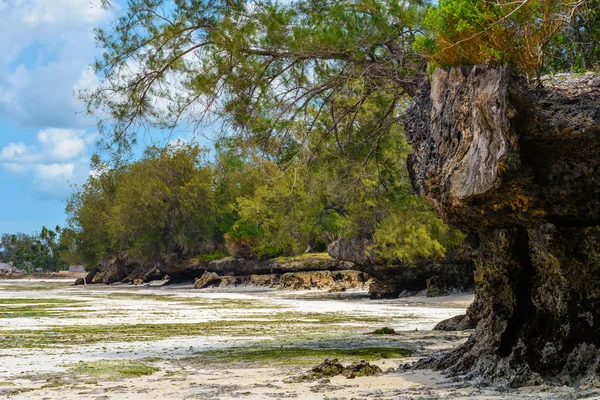 Playa de Zanzíbar — Foto de Stock