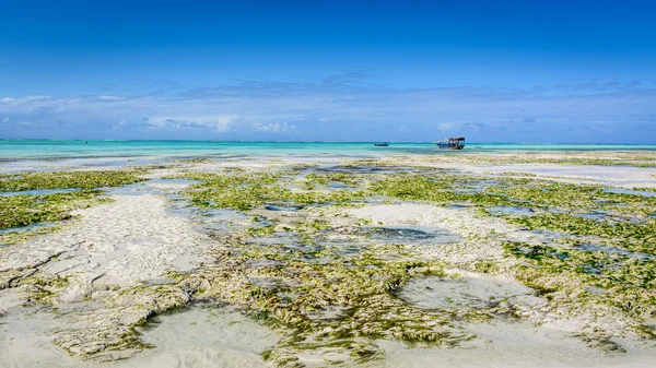 Zanzibar pláž nungwi — Stock fotografie