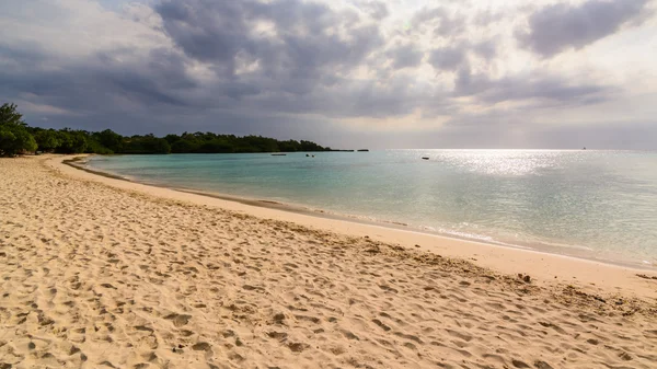 Paradice beach — Stock fotografie