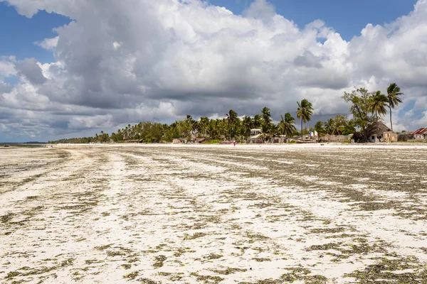 Panorama de Zanzibar — Fotografia de Stock