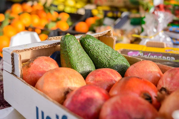 Zwei Avocados — Stockfoto