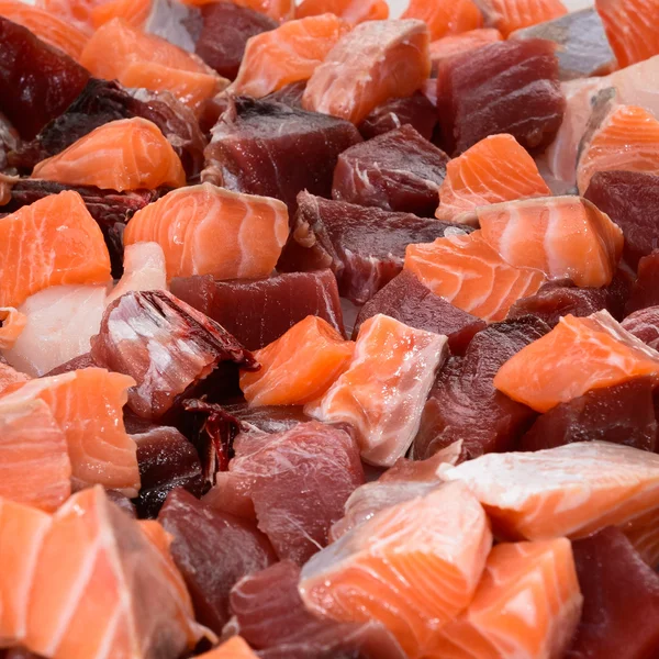 Lax och tonfisk — Stockfoto