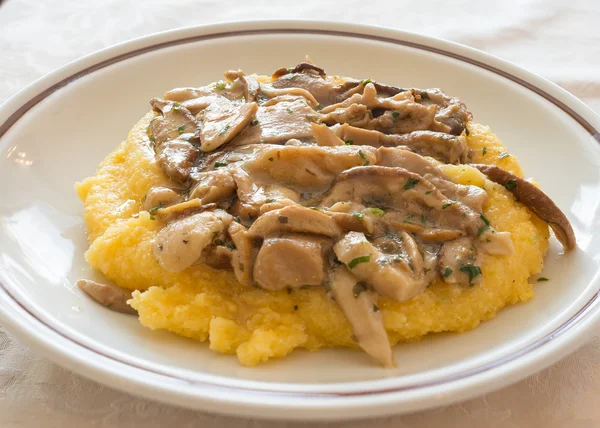 Polenta mantarları