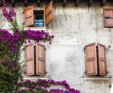 Windows renkli