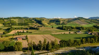 Castell'Arquato vineyards panorama clipart