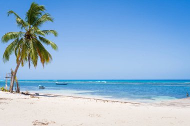 Tropical beach in Catalina island,and two boat moored in the shore.Dominican Republic.