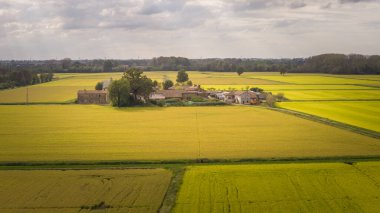 Sonbaharda uçsuz bucaksız altın pirinç tarlalarının havadan görünüşü, orta büyüklükteki çiftlik, tarım konsepti, lombardiya, Pavia, İtalya