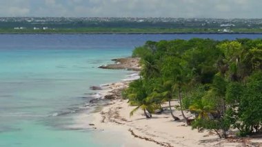 Manzara, Dominik Cumhuriyeti 'ndeki Catalina Adası' nda avuç içi ve Karayip Denizi olan kumlu bir sahil olduğunu gösteriyor..