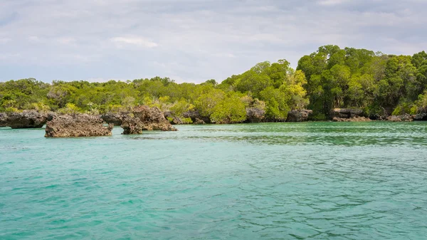 Zeegezicht en mangroven Zanzibar — Stockfoto
