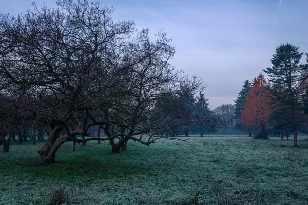 Cold morning sunrise — Stock Photo, Image