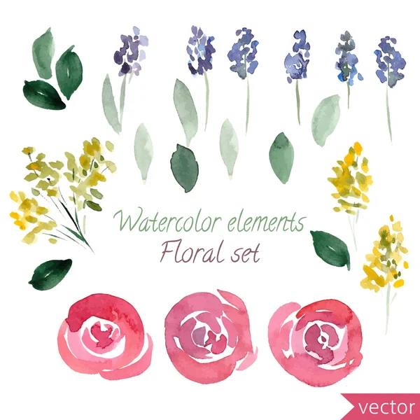 Conjunto de flores em aquarela rosas e folhas — Vetor de Stock