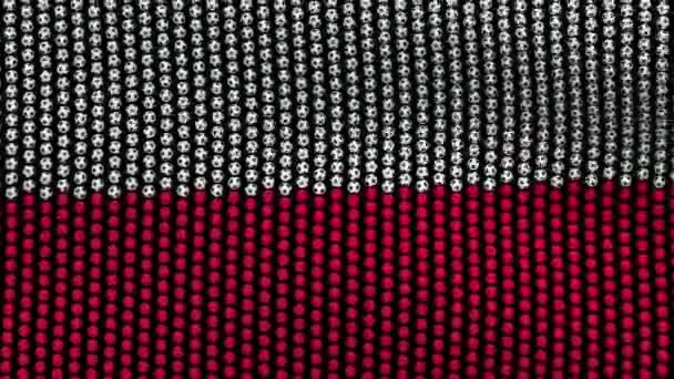 Colored soccer balls forming fabric Poland flag. Looped video. — Stock Video