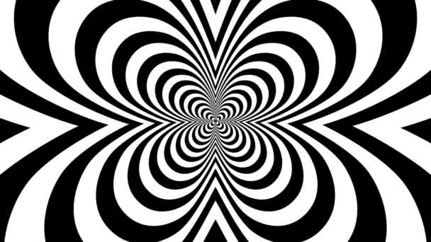 Papillon concentrique venant en sens inverse 