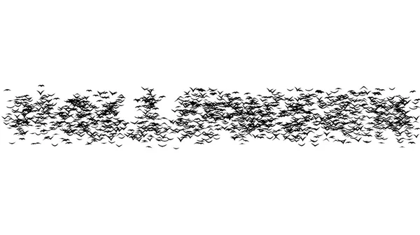 Ένα σμήνος πουλιών που σχηματίζουν λέξη Απόκριες - μέρος της timelapse, stop motion animation — Φωτογραφία Αρχείου