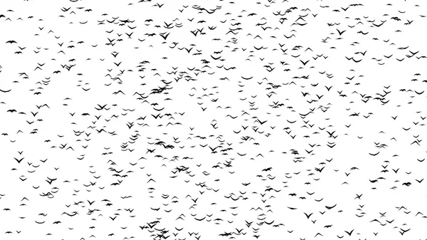 새의 무리 할로윈-timelapse, 중지 모션 애니메이션의 일부 단어 형성 — 스톡 사진