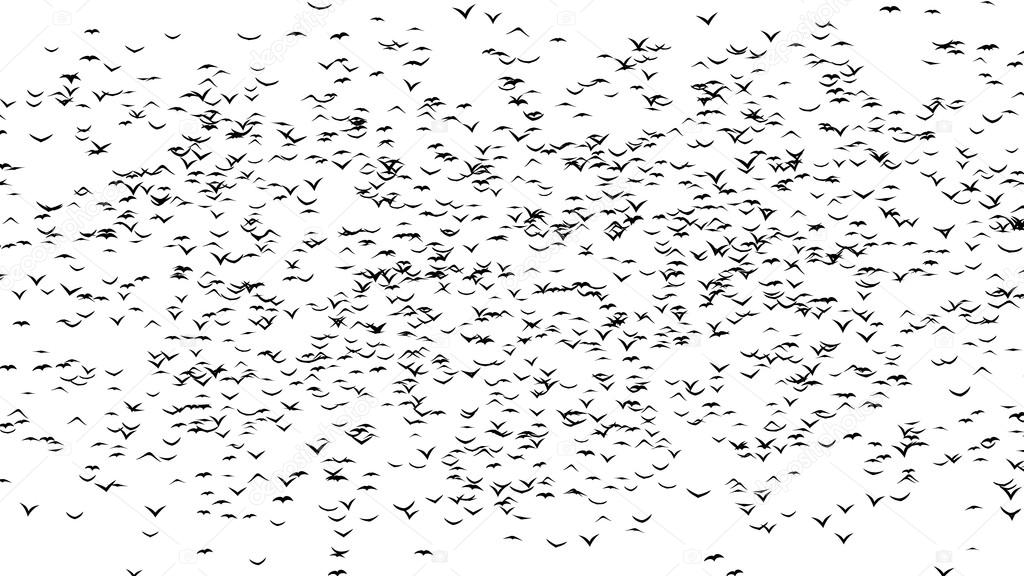A flock of birds forming word halloween - part of timelapse, stop motion animation