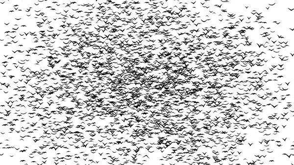 A flock of flying birds forms the witch flying on the Sabbath - part of timelapse, stop motion, gif animation — Stock Photo, Image