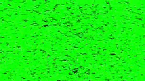 飞行的鸟类的双重群形成女巫飞行在安息日，绿屏. — 图库视频影像