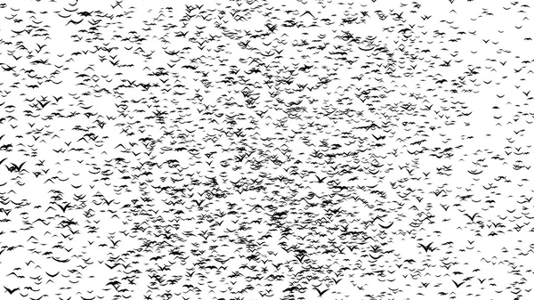 A duple flock of flying birds forms the grave crosses - part of timelapse, stop motion, gif animation — Stock Photo, Image