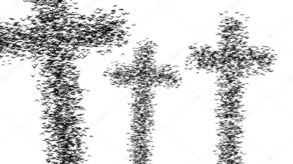 A duple flock of flying birds forms the grave crosses - part of timelapse, stop motion, gif animation
