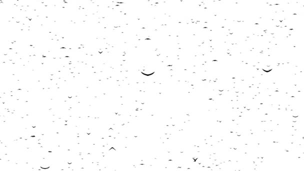 Un double troupeau d'oiseaux volants forme les mots VENDREDI NOIR .