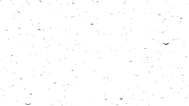 Un demi-troupeau d'oiseaux volants forme les mots VENDREDI NOIR .