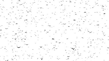 A half flock of flying birds forms the words BLACK FRIDAY - part of timelapse, stop motion, gif animation clipart