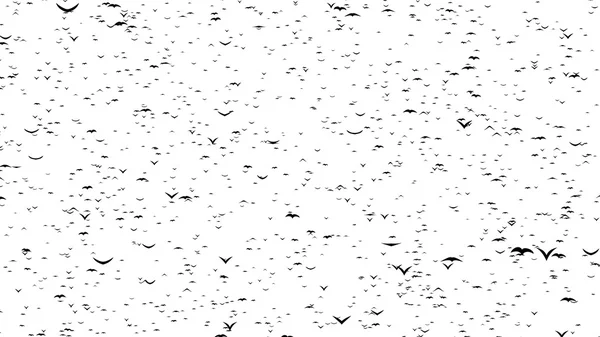飞行的鸟类的双重群形成字黑色星期五-游戏中时光倒流，停止运动，gif 动画的一部分 — 图库照片
