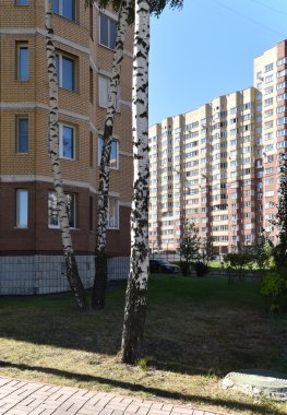 Dolgoprudny, Moscow region ortada huş açık olan.