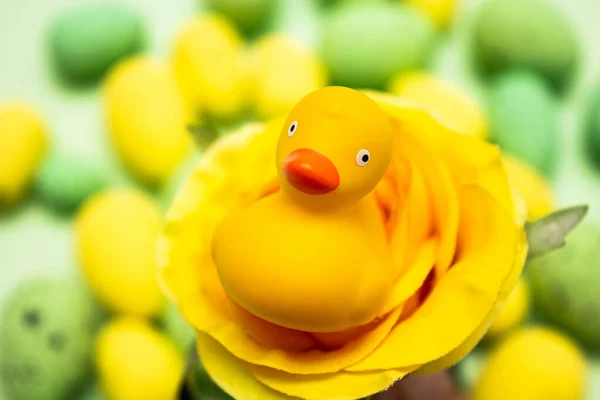 Yellow duck in the yellow flower with green and yellow Easter eggs behind. Spring holidays concept